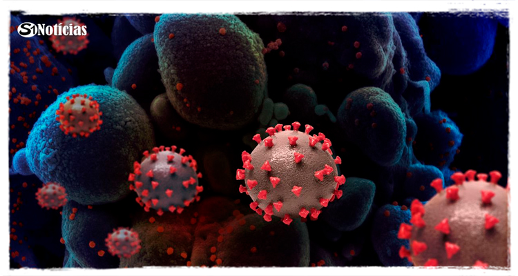 Arcturus: Brasil confirma primeiro caso da nova variante do coronavírus