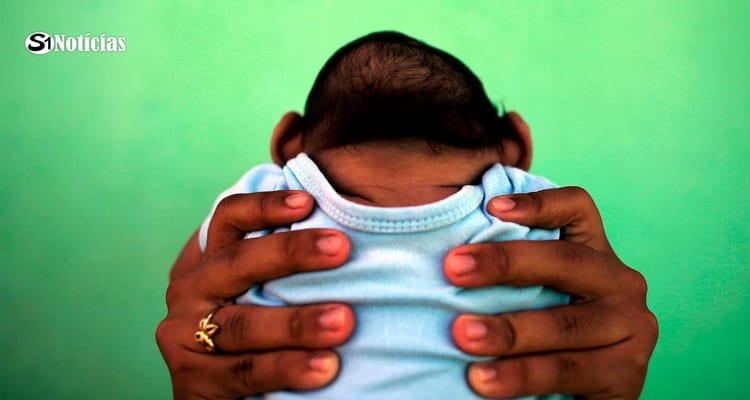 Pensão vitalícia e indenização para vítimas de microcefalia causada por zika são aprovadas pela Câmara dos Deputados