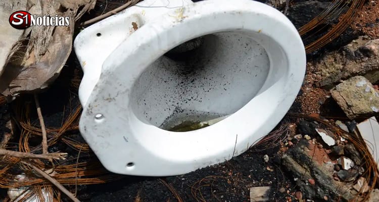 Casos de dengue no Brasil sobem mais de 300% em 2024