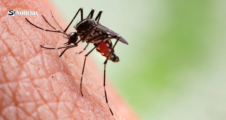 Saúde destinará R$ 1,5 bi a estados e municípios para apoio no combate à dengue