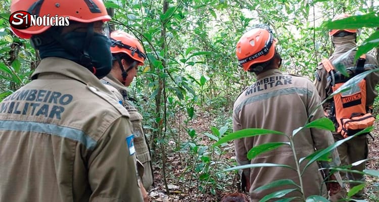 Idosa de 67 anos é encontrada em mata em Jaboatão após passar oito dias desaparecida