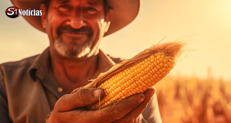 Primeira parcela do Garantia Safra 2022-2023 contempla 611 agricultores em Solidão-PE