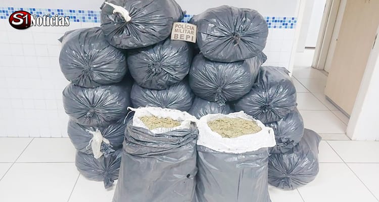 Mais de 270 quilos de maconha são apreendidos em Sertânia-PE
