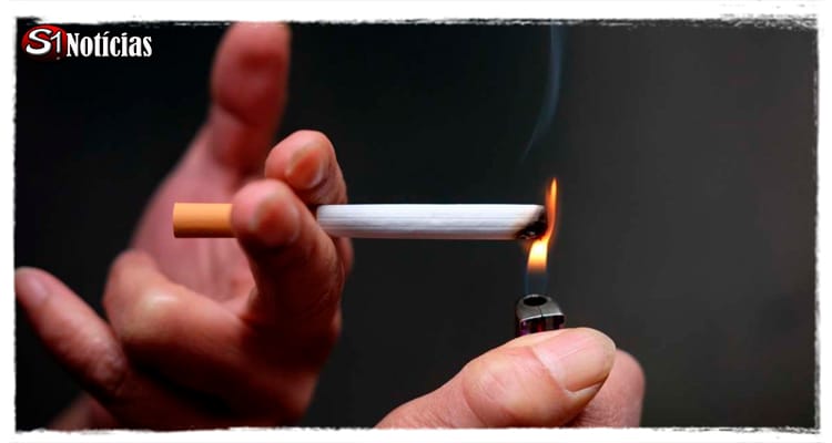 Cada cigarro encurta a vida do fumante em 20 minutos, diz pesquisa