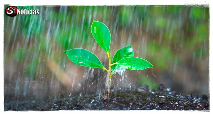 Chuvas em Pernambuco: Apac renova alerta de chuvas fortes para Sertão e Agreste