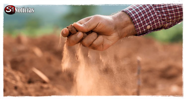 Solidão está entre as 117 cidades de Pernambuco em situação de emergência devido à seca; confira a lista