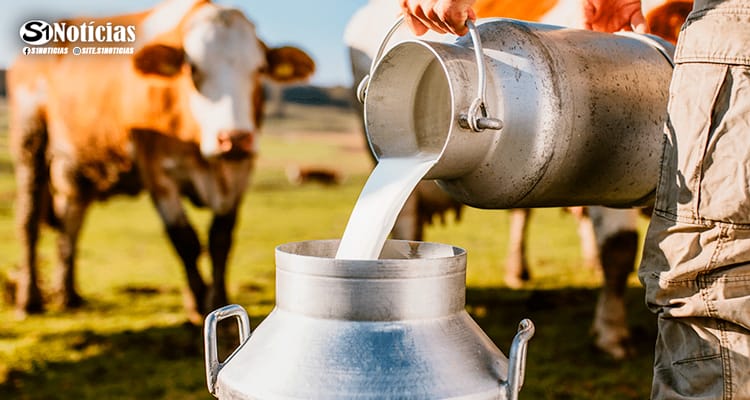 Mais renda no campo: Prefeitura de Solidão busca fornecedores de leite